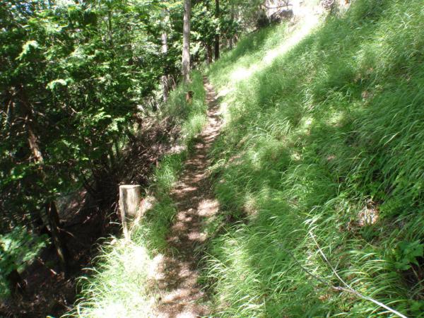 思いのほか走れるトレイルが多かったです。