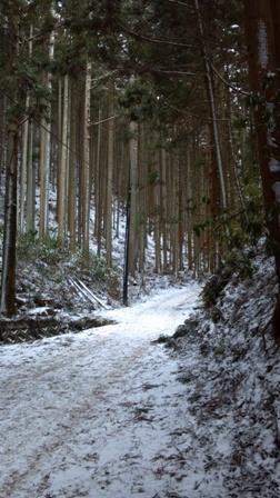 伏見ルートの入り口から雪です