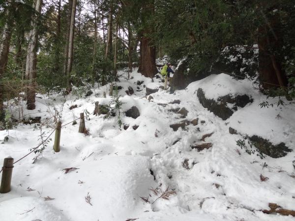 どこまでも登りが…