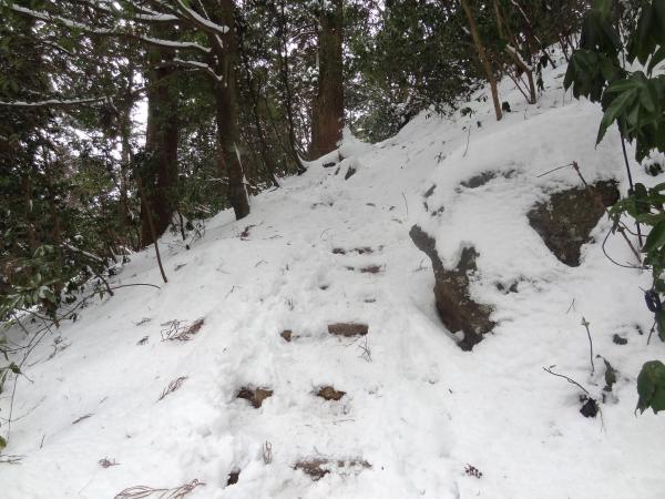 なかなか休める平地がないですね