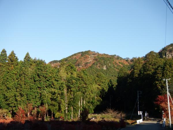 朝の山は気持ちいい