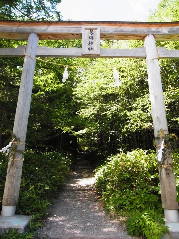 鳥居をくぐって出発です！