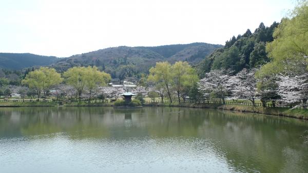 桜がキレイな定光寺公園からスタート