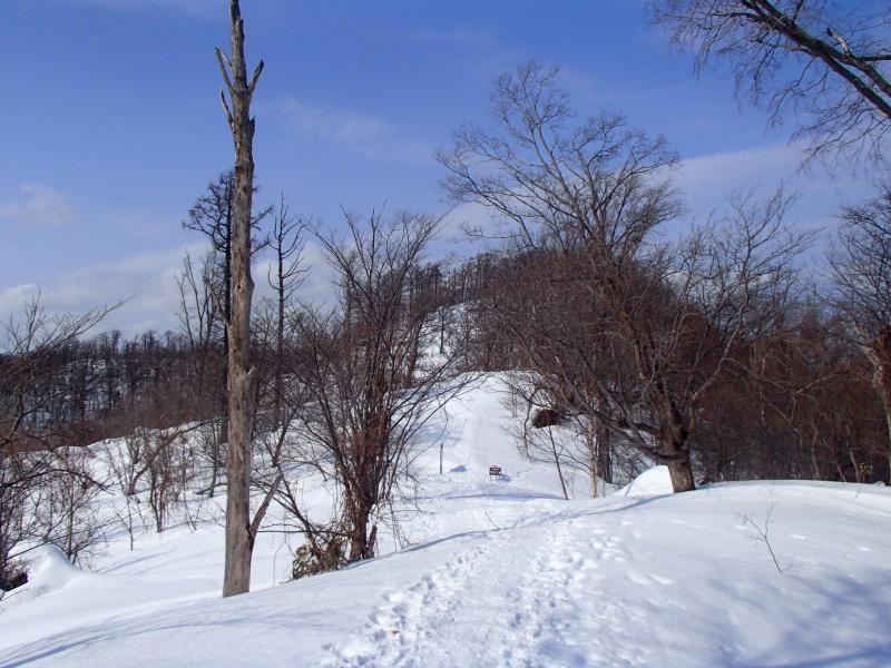 まだまだ雪の多い藻岩山