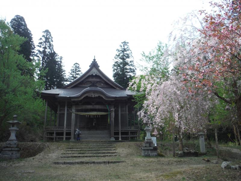 桜がきれいな二王子神社。