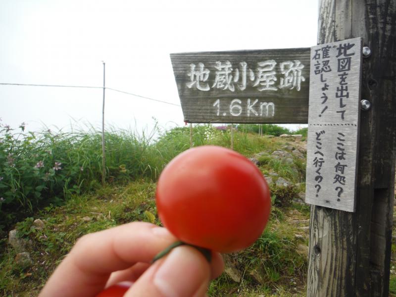三国小屋の金子さんからフレッシュなトマトを頂きました。好日山荘にもたまに遊びに来てくれる気さくな方です。