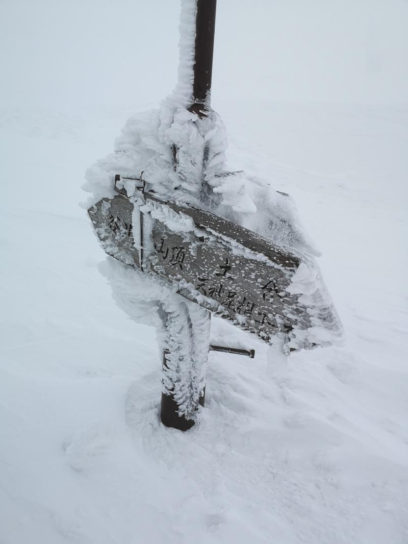 本日の積雪はこのくらい。