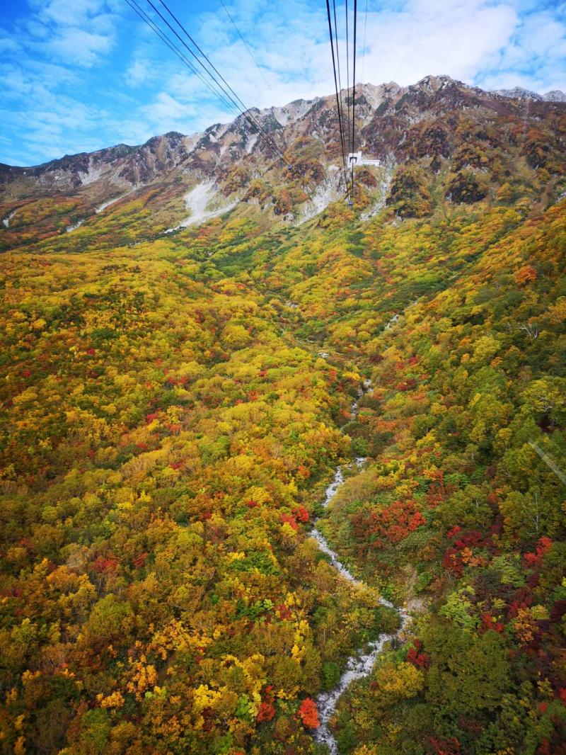 たんぼ平の紅葉、見事でした！