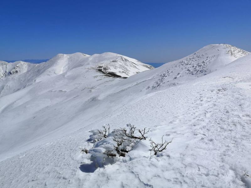 この日は最高の雪山日和！手前が平標、奥が仙ノ倉山。