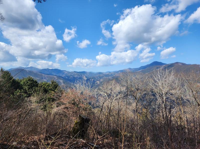 花粉に耐えつつ上を目指せばこの絶景。左奥には雲取山が。