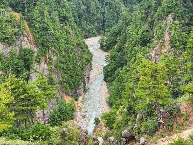 やっと湯俣川が見えました。