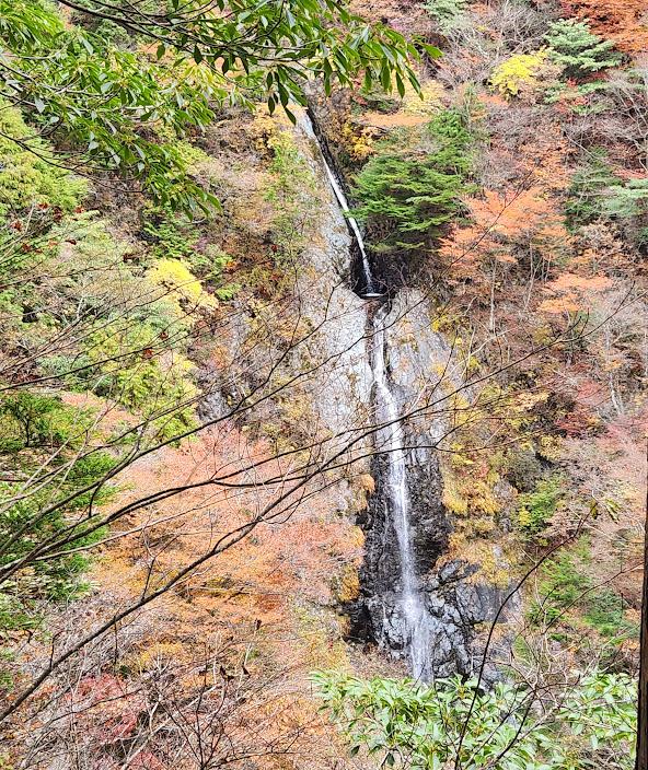 この日のハイライトは不動滝。紅葉と相まって見応えありました。