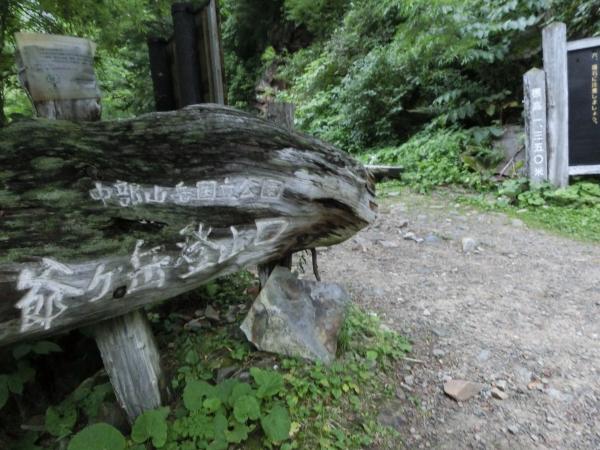 入山客が多い扇沢から柏原新道経由で。