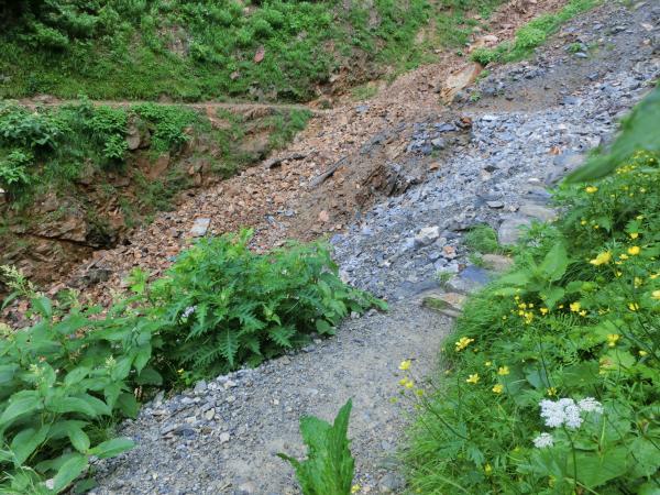 細い細い尾根歩き。集中していないと転落危険大です。