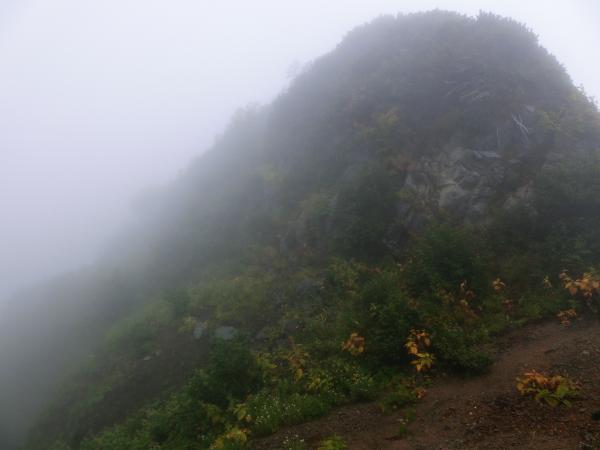 視界不良でも紅葉は鮮やかで綺麗です。