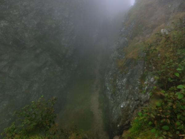 見えにくくてすいません。実際はもっと臨場感満載な迫りくる細道。