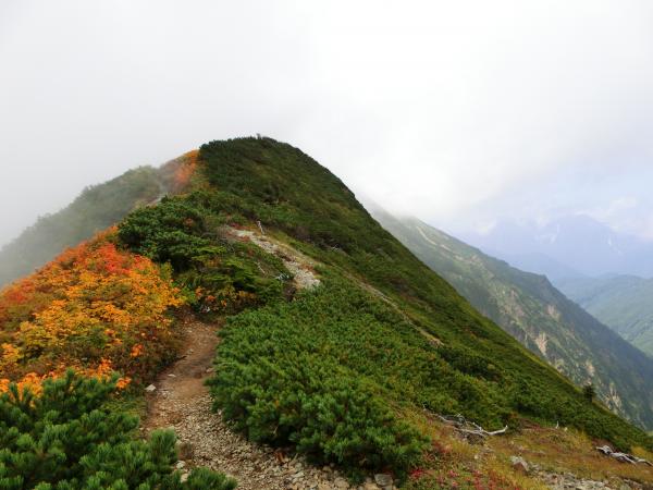 下山時、白岳から遠見尾根へ向かう時の紅葉始まり。