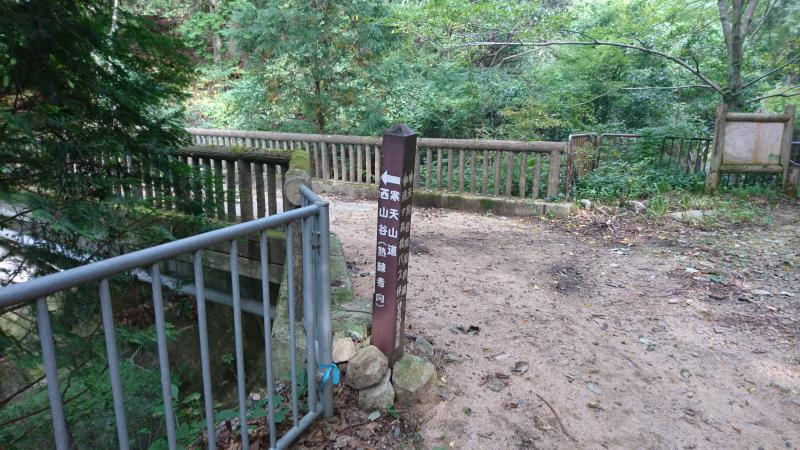 左へ入ってスタート