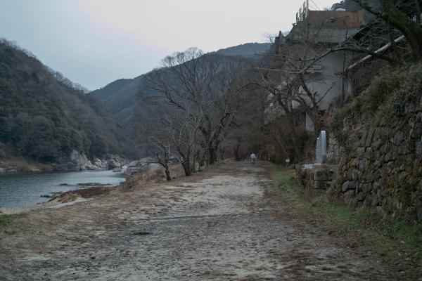 木々は枯れている笠置