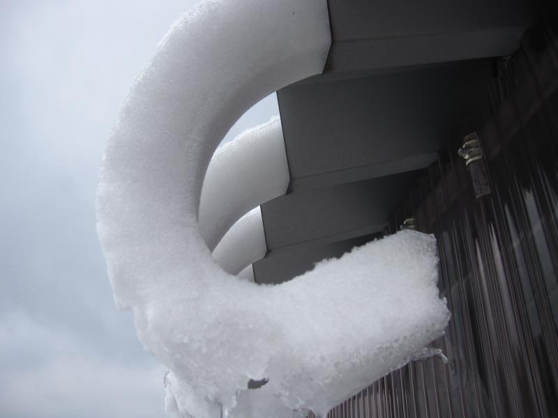 マムートマンモスの牙みたい