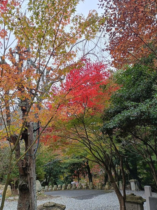 アトリエ館当たり