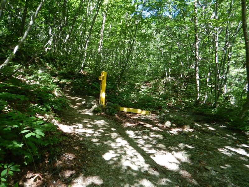 七倉岳への分岐