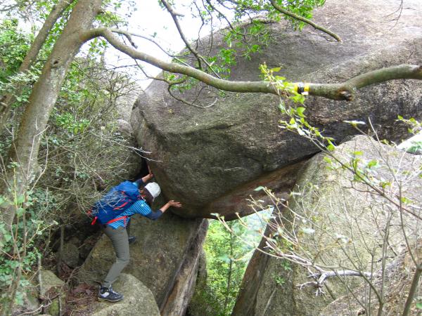 よっこらせーっと。