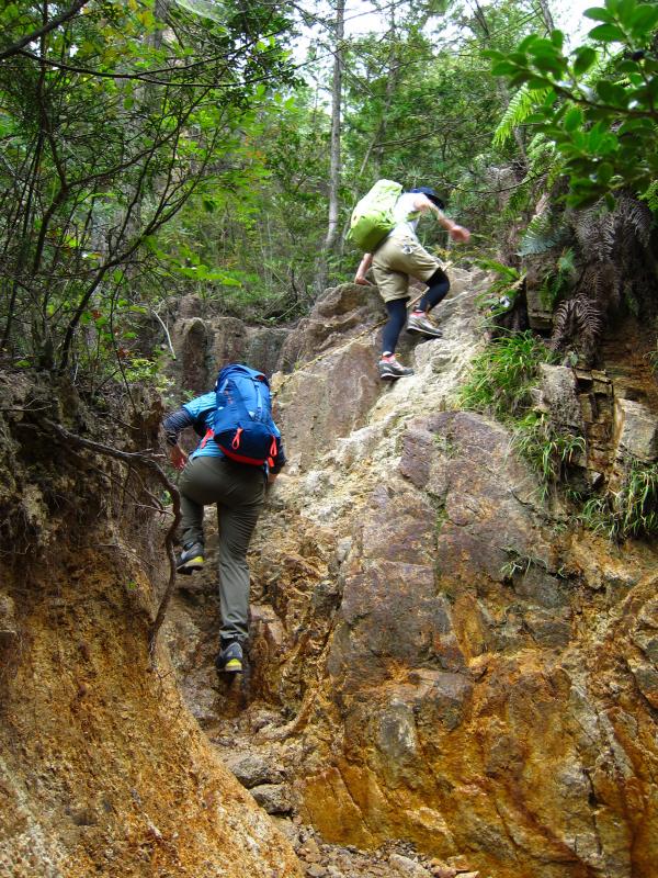 ぐぐっと登ります