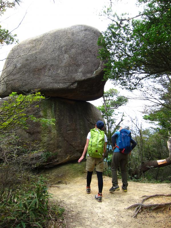 どうやって乗せたのかしら？