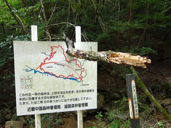 衝撃の破壊力！