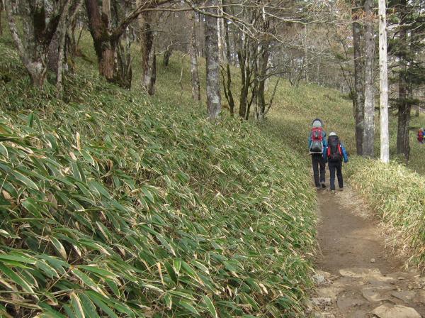 ゆるやかな散策道をゆく