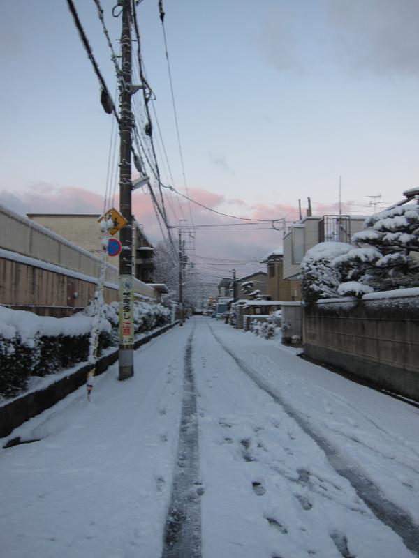 京都市内パニック！の大雪