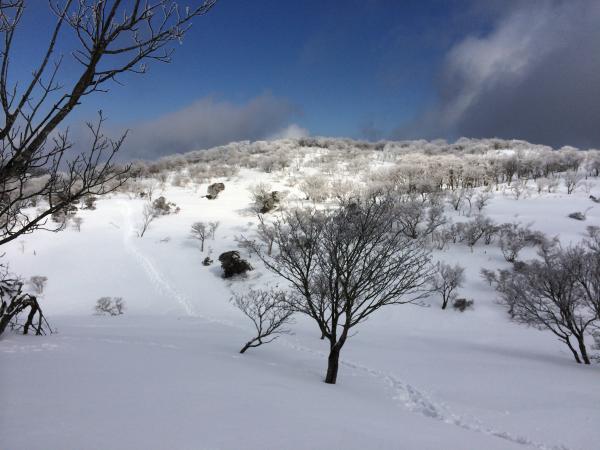 山頂付近は絶景が待ってました！