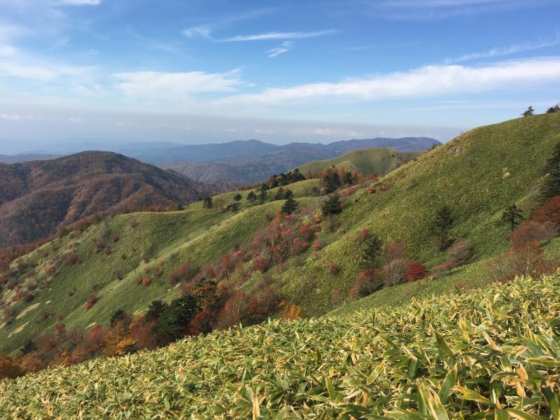 笹原と紅葉が素敵でした。