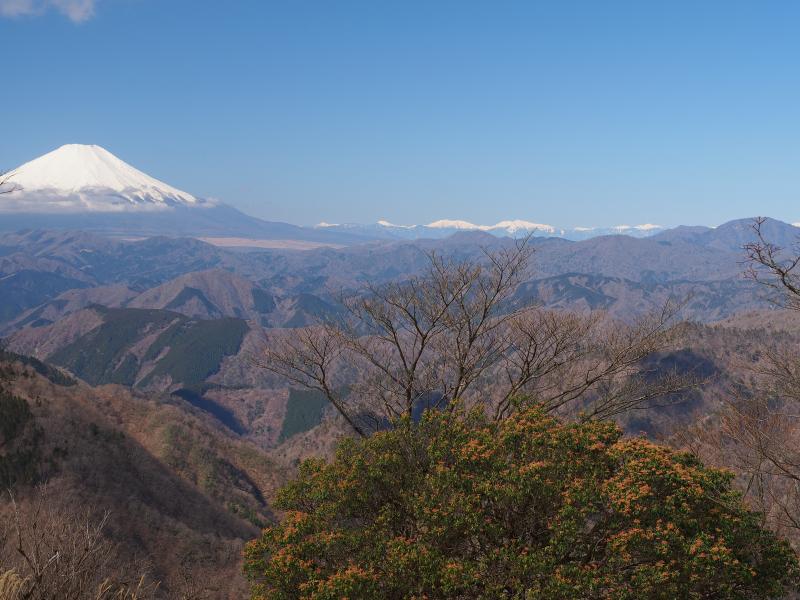 鍋割山から富士山と南アルプス
