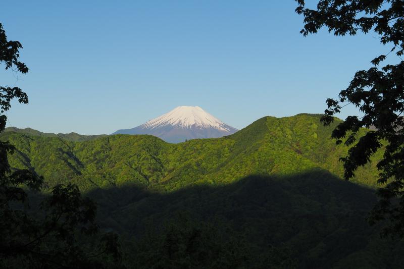 加入道山登山口から登って見えた新緑の山の上に富士山