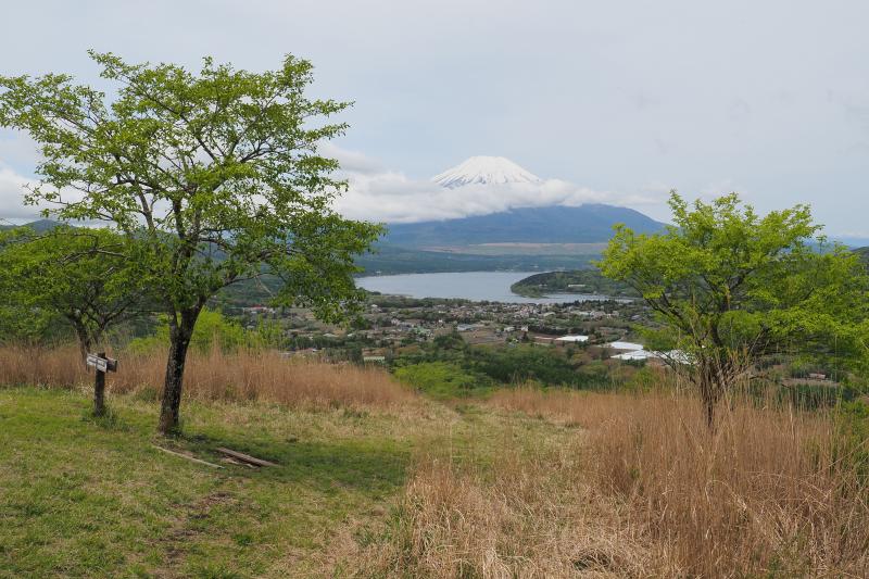 1月ぶりの高指山から富士山と山中湖