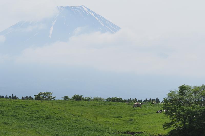 丸西牧場と富士山
