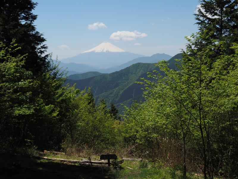 秀麗富嶽十二景「奈良倉山」