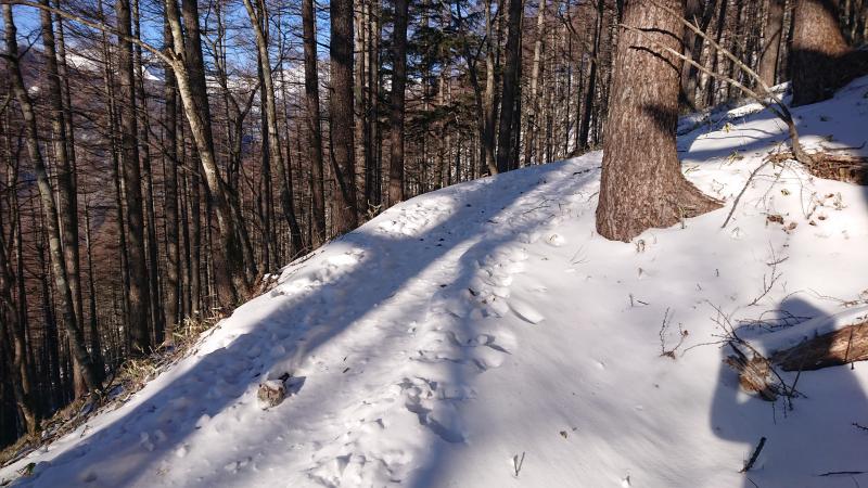 杖立峠まではサクサクした雪面です。