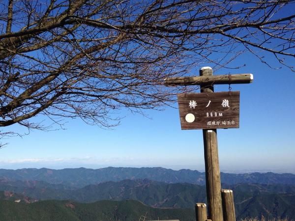 棒ノ嶺（棒ノ折山）