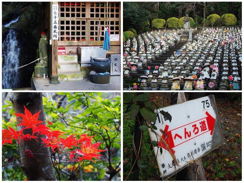 三郡山系を歩こう Vol 2 畝原山 鉾立山ー三ッ頭山ー飯盛山 超マイナー尾根から篠栗秘境を歩く周回コース 登山レポート 登山用品 アウトドア用品の専門店 好日山荘