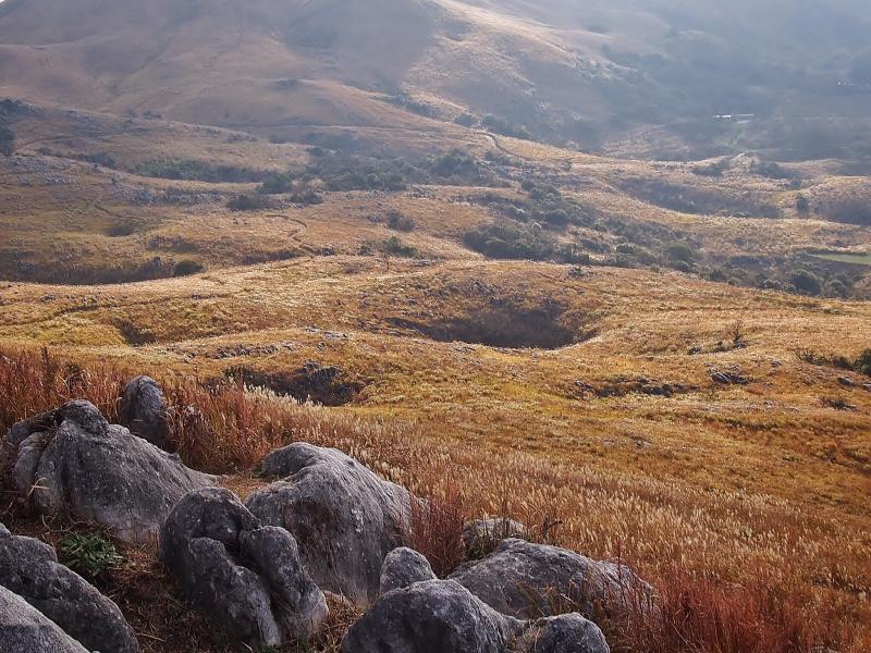 カルスト台地で羊群原ハイク 大平山－貫山－周防台 | 登山レポート | 登山・アウトドア用品の専門店【好日山荘】