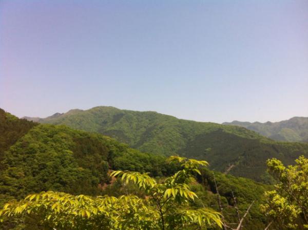 稲村岩からの眺めです