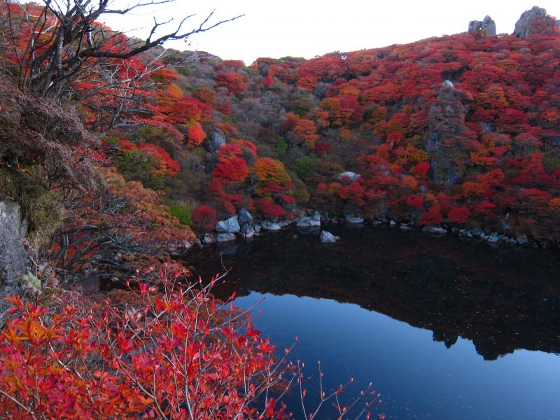今年の紅葉は真っ赤っか！