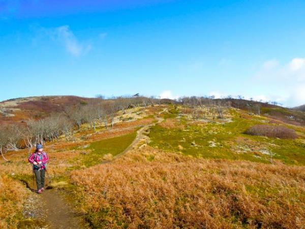 何ともステキな景色