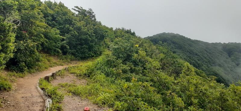 夕霧峠の手前