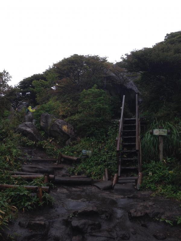 雨で濡れ濡れ。。。