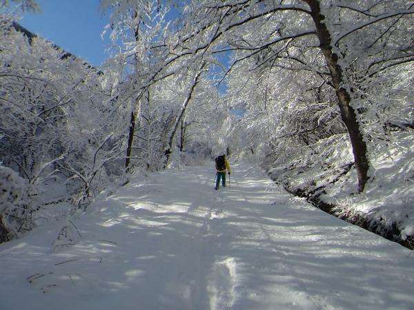 とっても良い天気