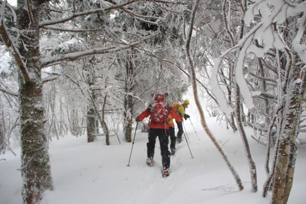 吹雪の中の霧氷、霧氷スノーハイク
